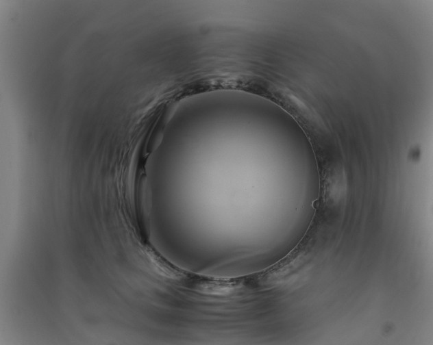 X0000091500661200708161500