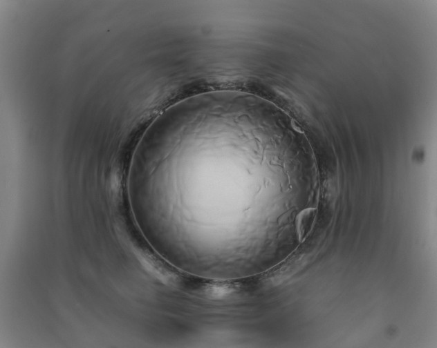 X0000091500662200708161500