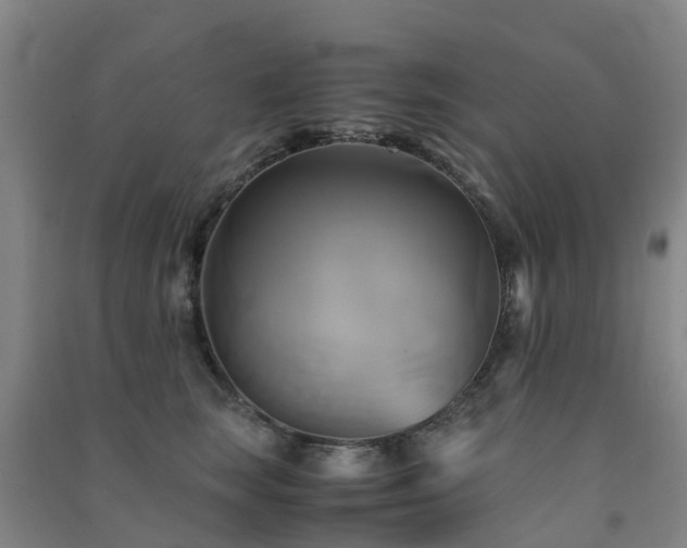 X0000091500663200708161500