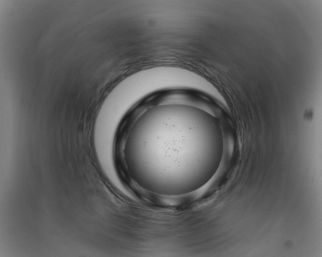 X0000091500664200708161500