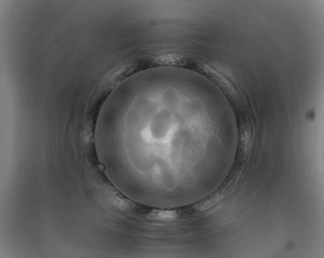 X0000091500665200708161500