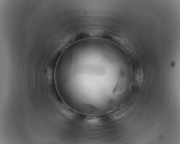 X0000091500667200708161500