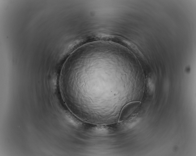 X0000091500668200708161500