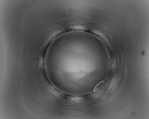 X0000091500669200708161500