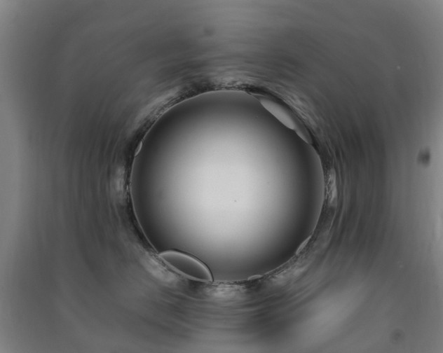 X0000091500670200708161500