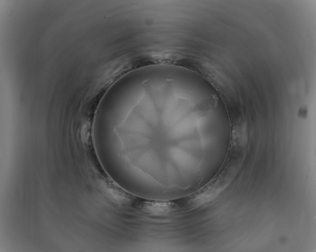 X0000091500671200708161500