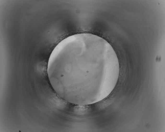 X0000091500672200708161500