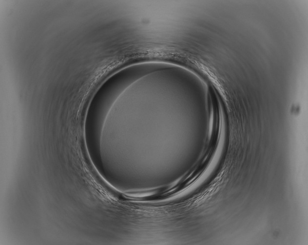 X0000091500673200708161459