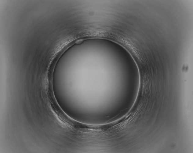 X0000091500674200708161459
