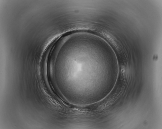 X0000091500676200708161459