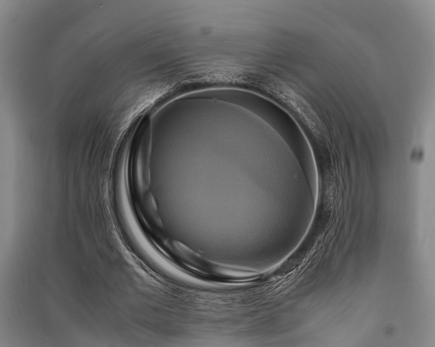 X0000091500677200708161459