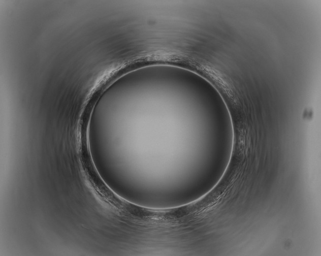 X0000091500678200708161459