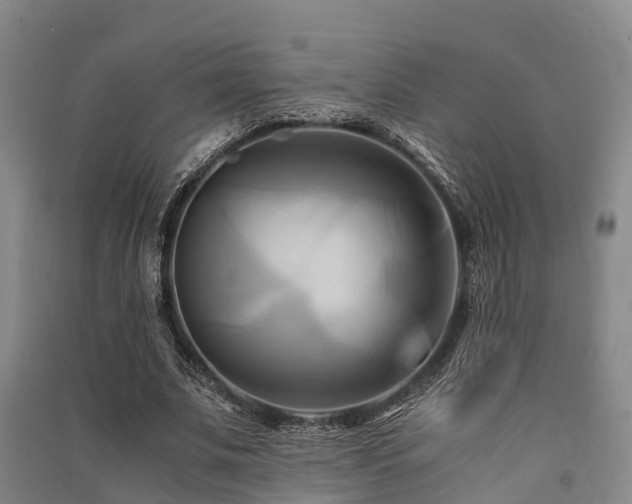 X0000091500679200708161459