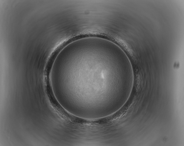 X0000091500680200708161459