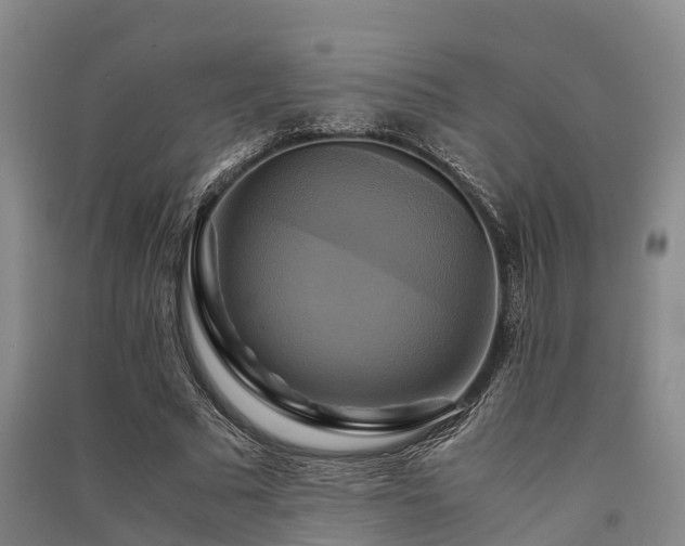 X0000091500681200708161459