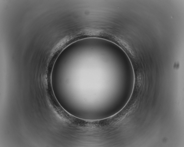 X0000091500682200708161459