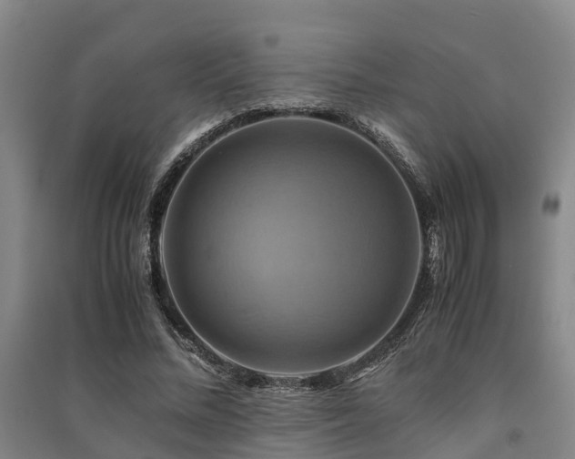 X0000091500684200708161459