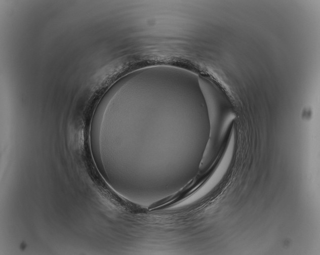 X0000091500685200708161459