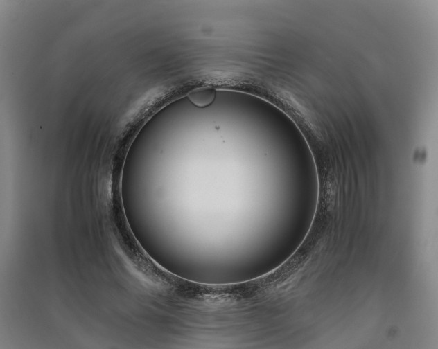 X0000091500686200708161459