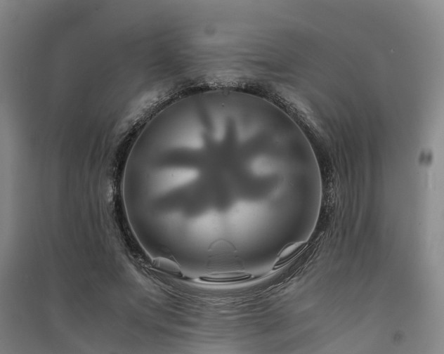 X0000091500687200708161459