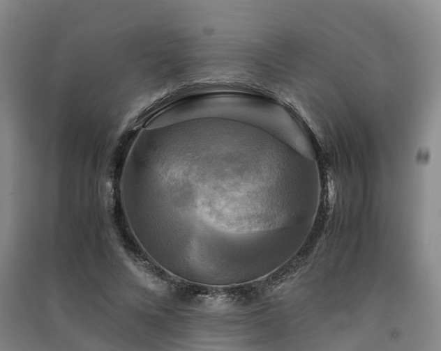 X0000091500688200708161459