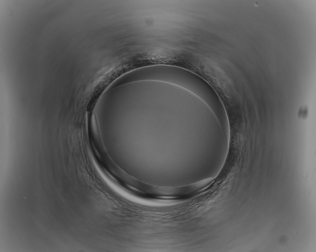 X0000091500689200708161459