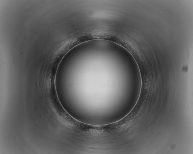 X0000091500690200708161459
