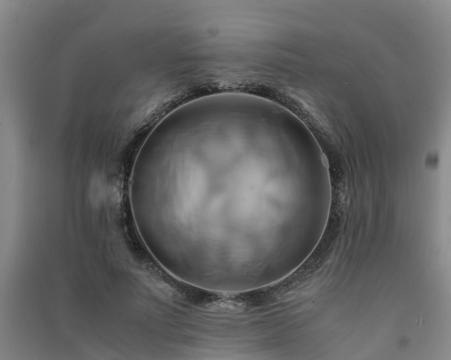 X0000091500691200708161459