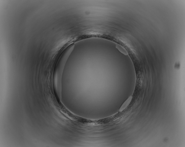 X0000091500692200708161459