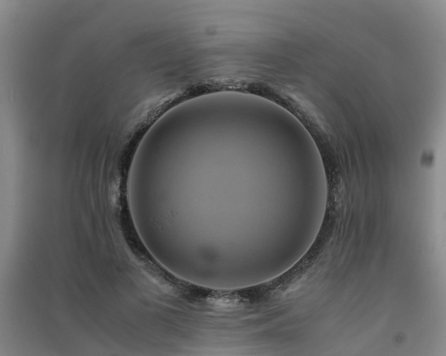 X0000091500693200708161459