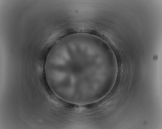 X0000091500695200708161459