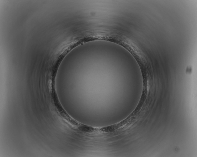 X0000091500696200708161459