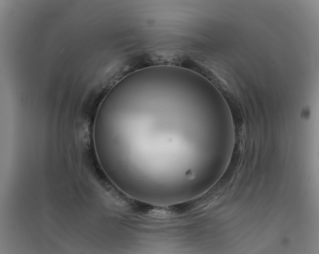 X0000091500699200708161459