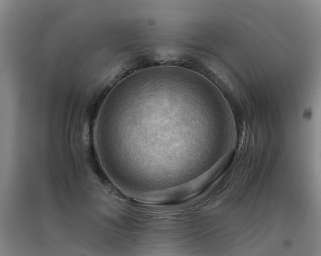 X0000091500700200708161459