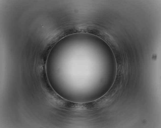 X0000091500702200708161459