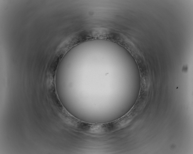 X0000091500705200708161459