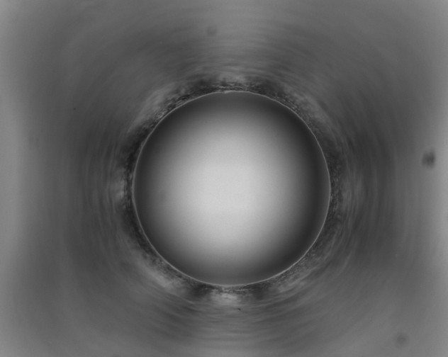 X0000091500706200708161459