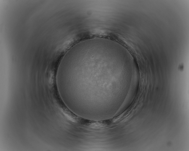 X0000091500708200708161459