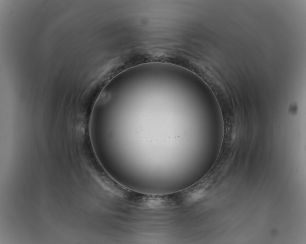 X0000091500710200708161459