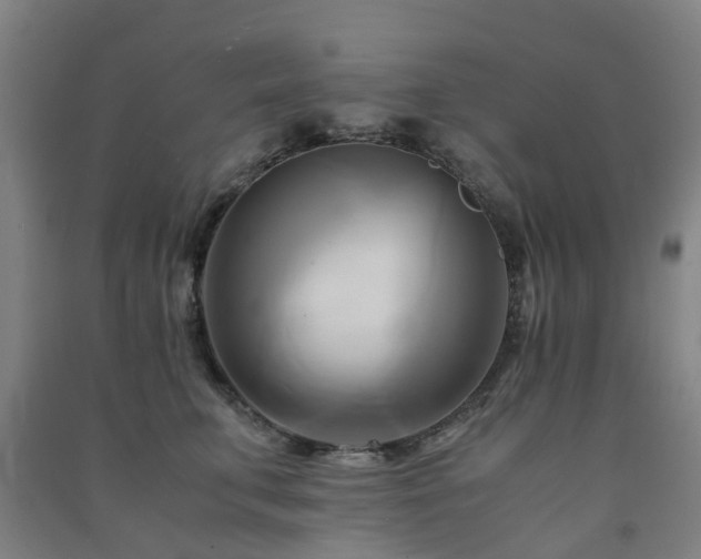 X0000091500711200708161459