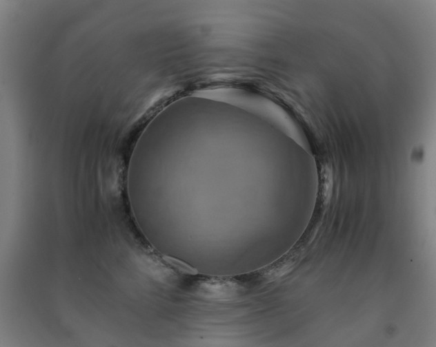 X0000091500712200708161459