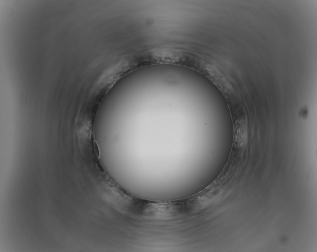 X0000091500713200708161459