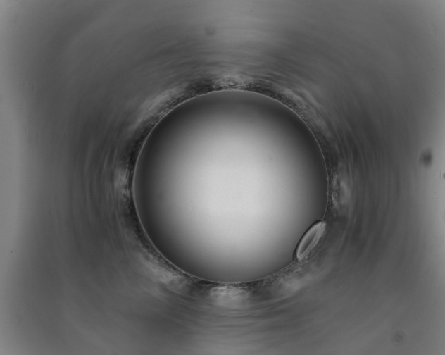 X0000091500714200708161459