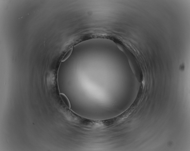 X0000091500715200708161459