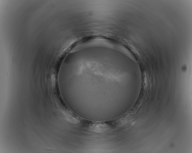 X0000091500716200708161459