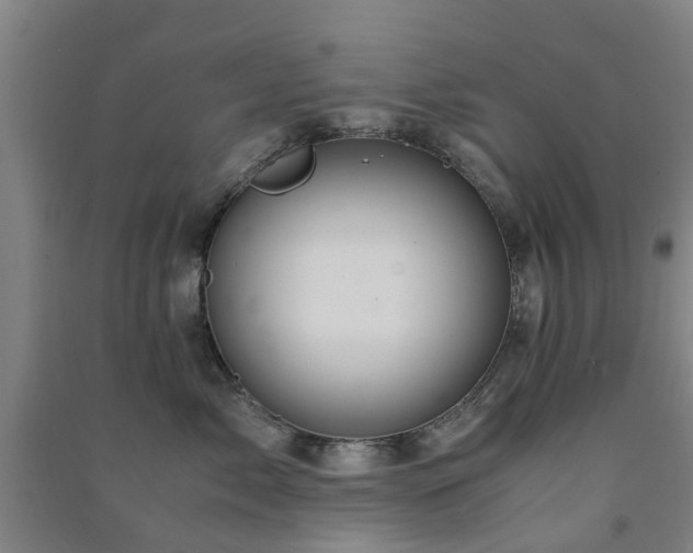 X0000091500717200708161459