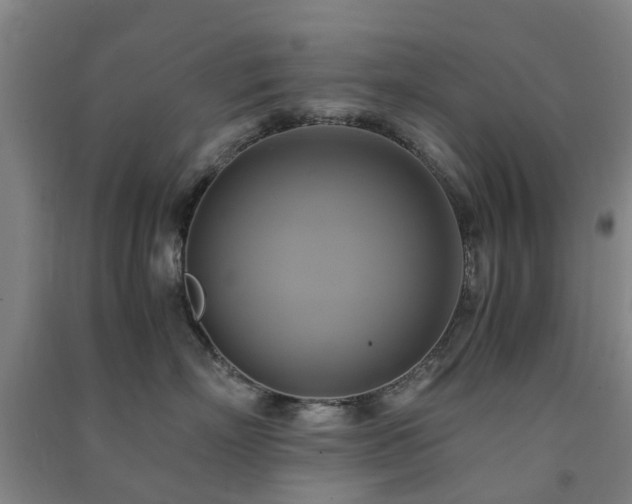 X0000091500718200708161459