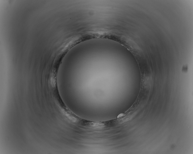 X0000091500719200708161459
