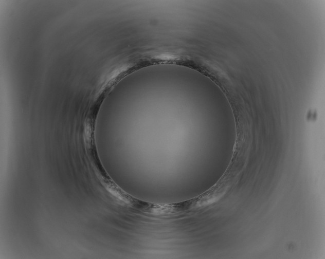 X0000091500720200708161459