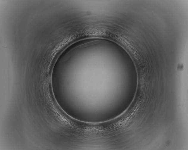 X0000091500721200708161458